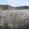 04 unterwegs im zbinger forst 10